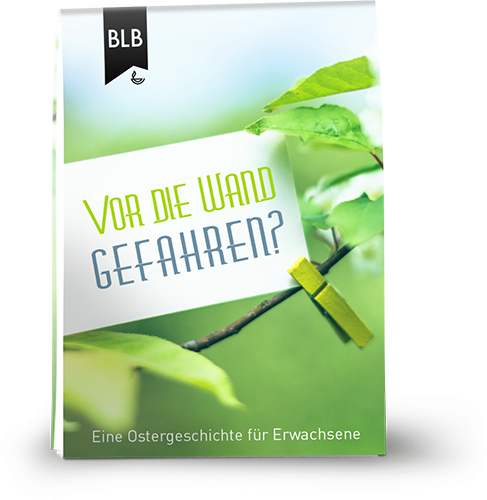 Vor die Wand gefahren Vor die Wand gefahren