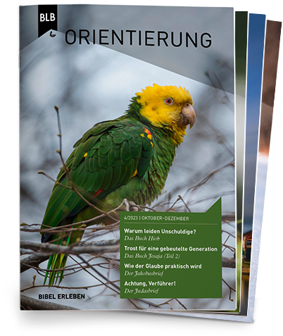 Orientierung Abo