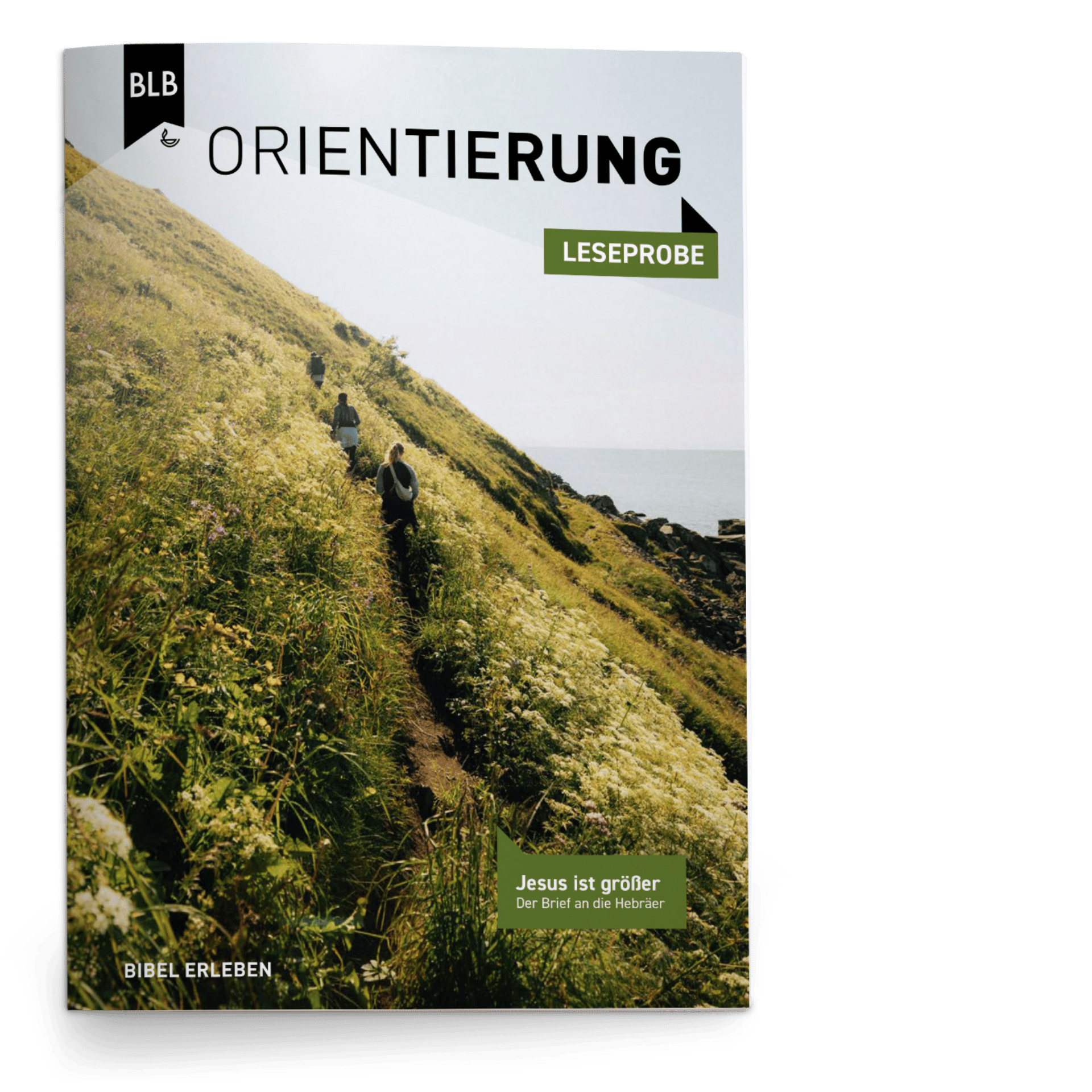 Orientierung Leseprobe