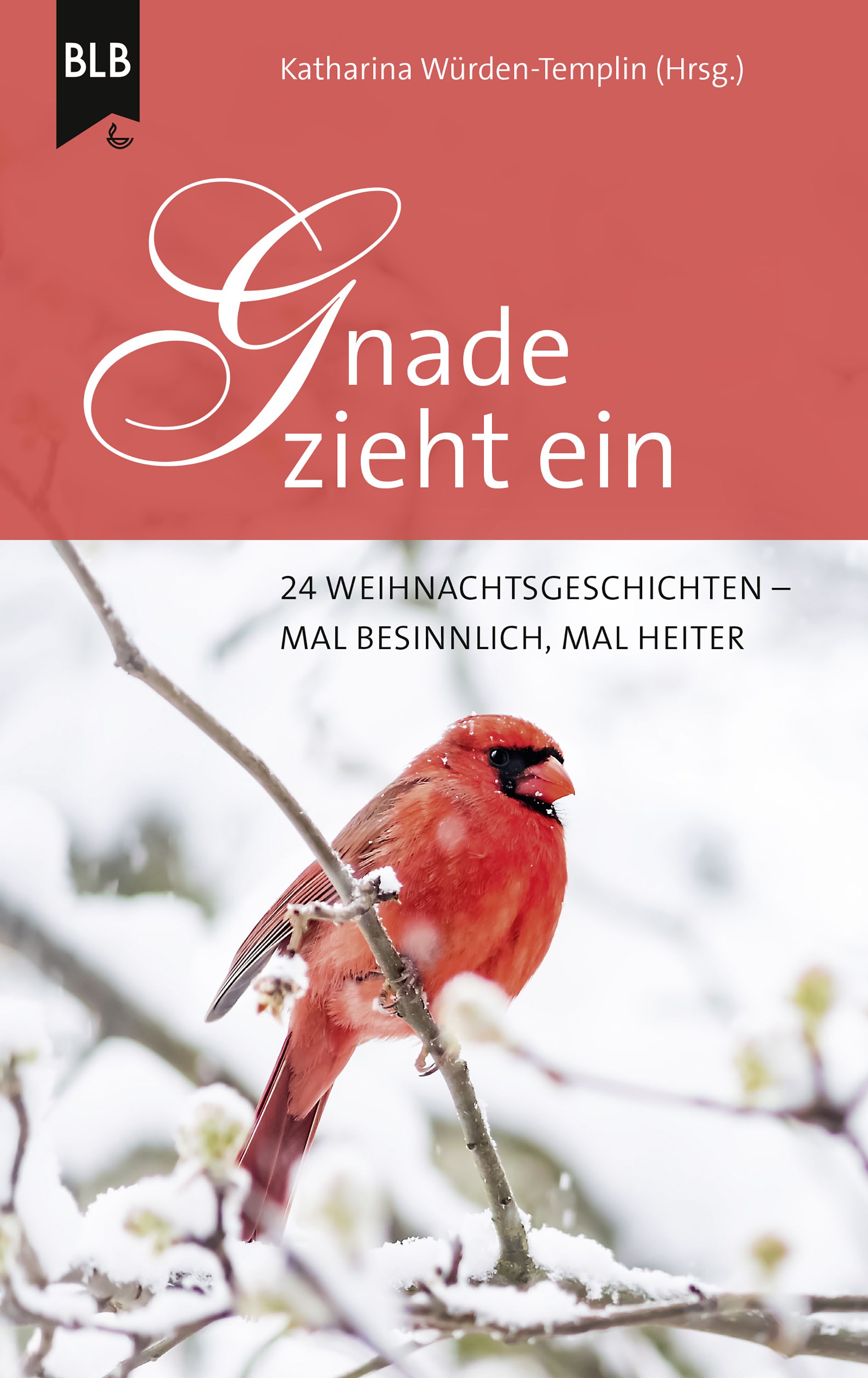 Gnade zieht ein - Ebook