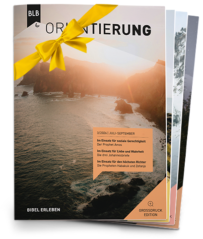 Orientierung Großdruck-EDITION Geschenk-Abo