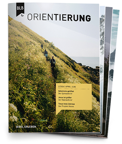 Orientierung Abo