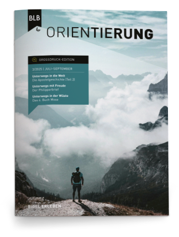 Orientierung Großdruck-EDITION 3/2025 Einzelheft