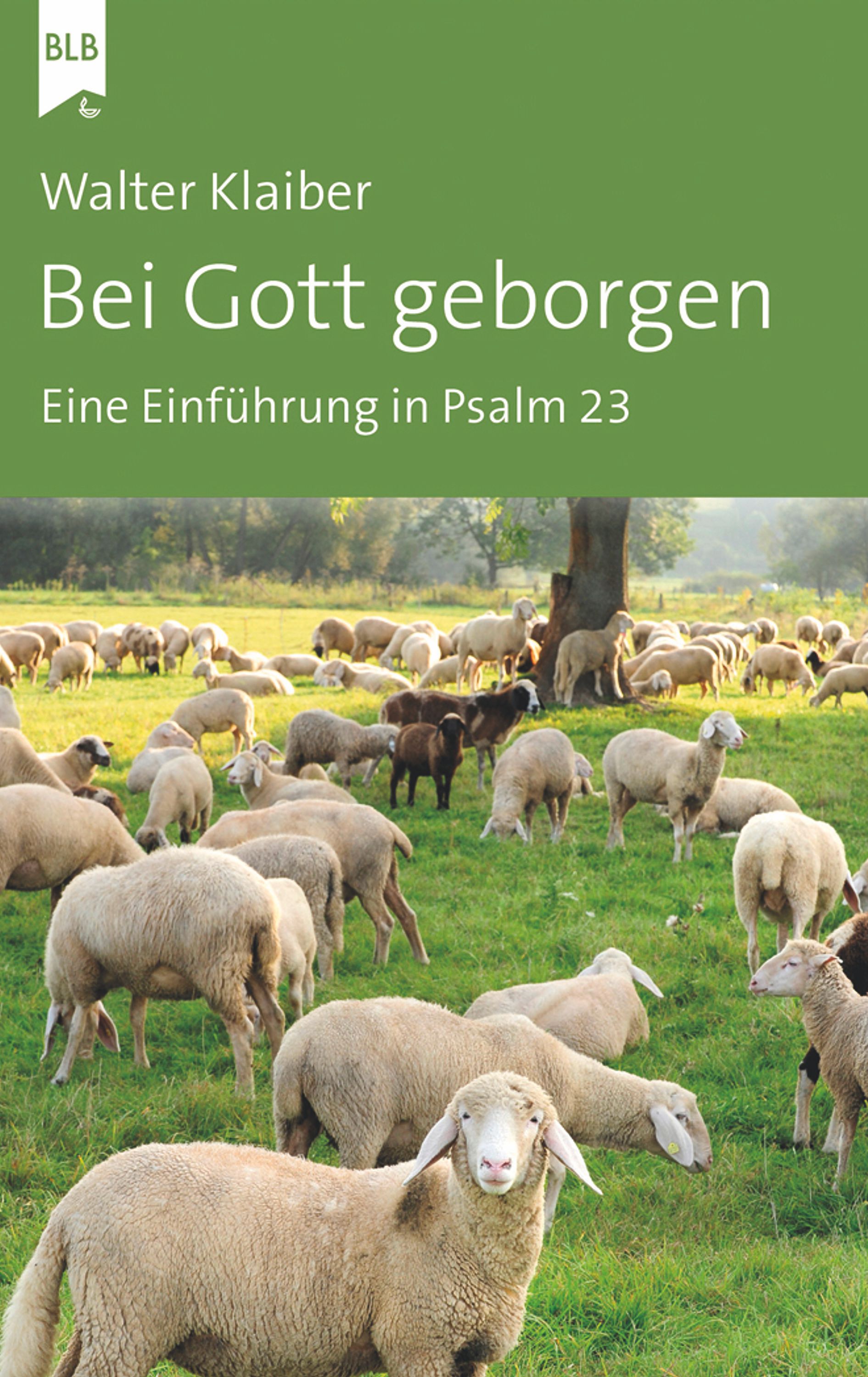 Bei Gott geborgen - Ebook