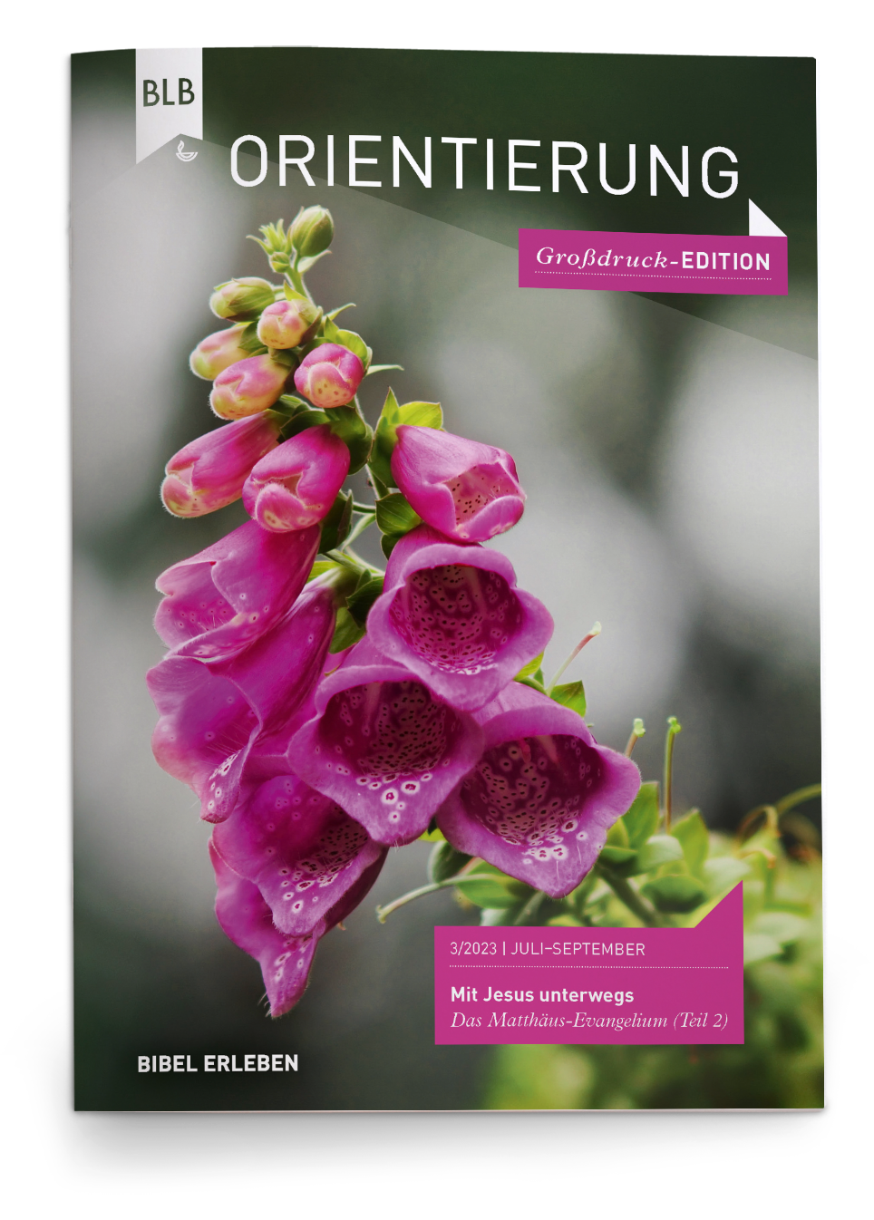 Orientierung Großdruck-EDITION 3/2023 Einzelheft